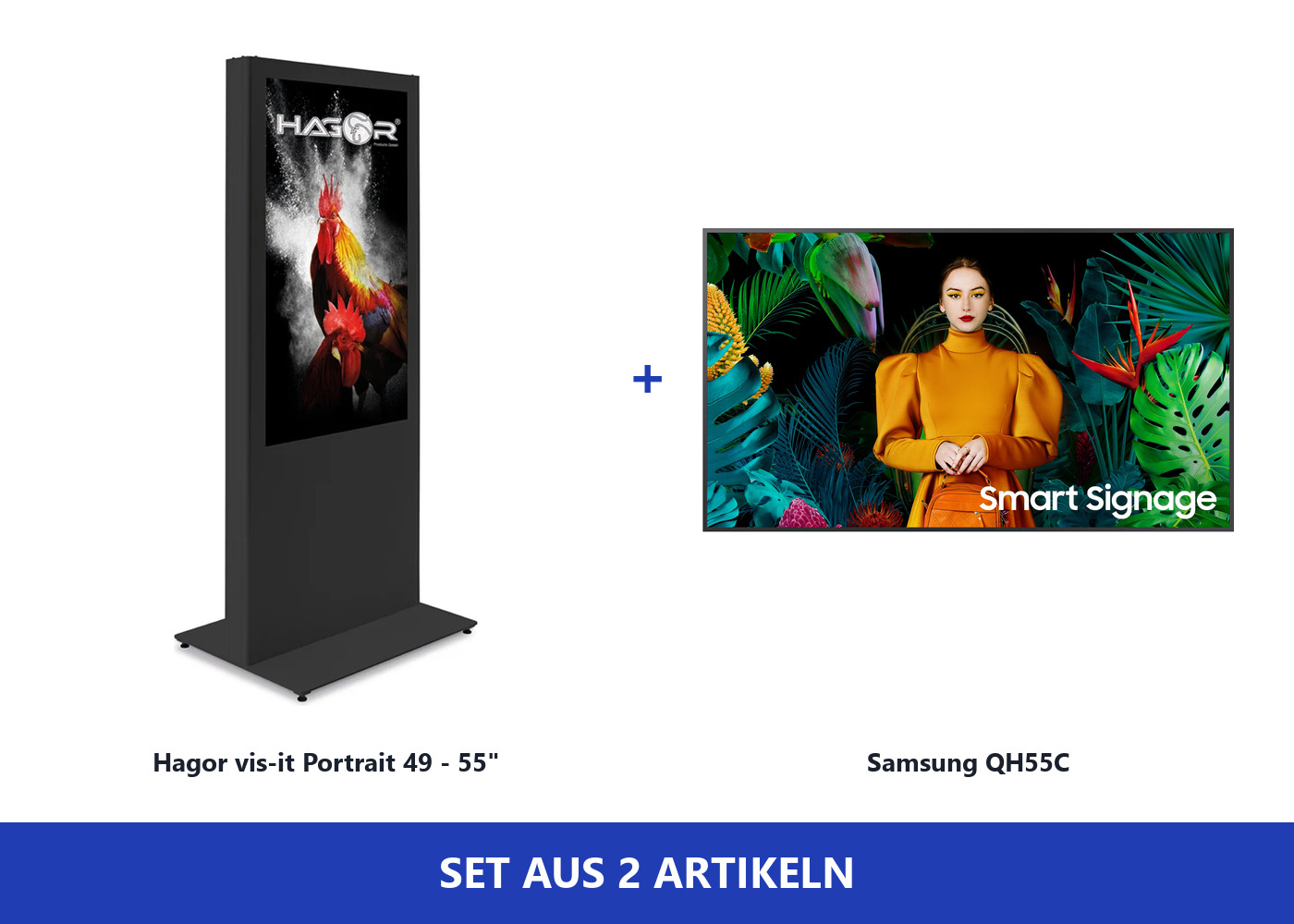 Hagor vis-it Bundle Samsung QH55C - Indoorstele Portrait 55 Zoll - 4K UHD - 700 cd/m² - 24/7 - Mini-PC-Fach abschließbar - RAL 7016