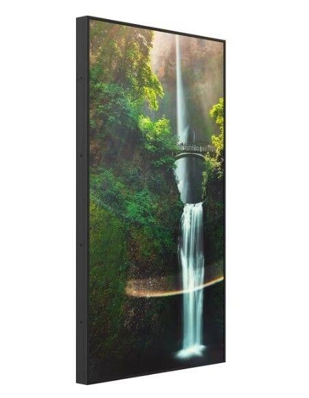 Hisense 55WH80F - 55" Schaufenster-Display - 4.000 cd/m² - 4K UHD - Android 11 - 24/7 - VESA 400x400