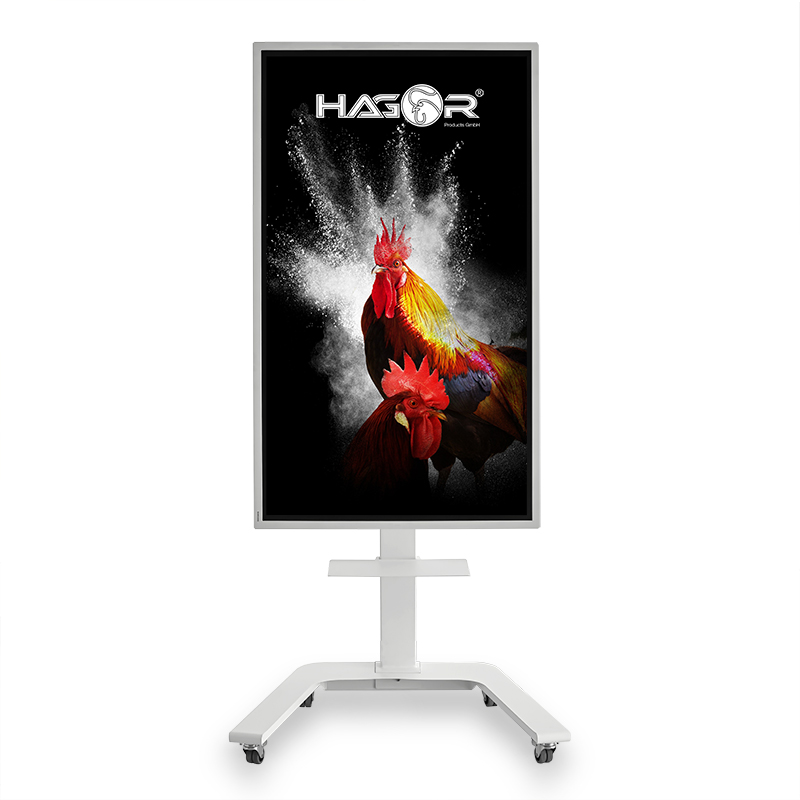 5788-st-sa-flip-II-65zoll-web-004-4-1229497