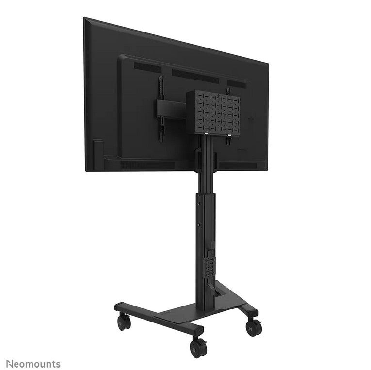 Neomounts-FL50S-825BL1-12-12-1315529