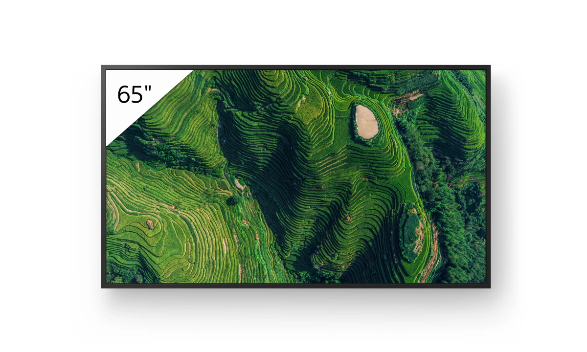 Sony FW-65BZ35P - 65 Zoll Digital Signage Display - 4K UHD IPS - 500 cd/m² - 24/7 - IP5X - Android - VESA 300x300 - schwarz